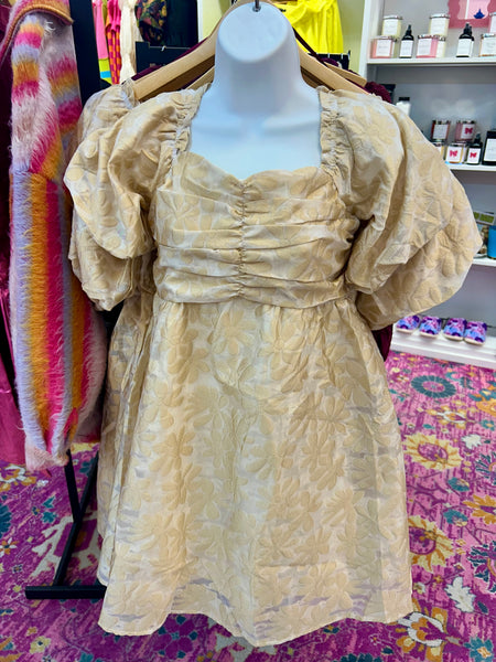 Bold & Beautiful Dress - House of Barvity